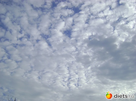 28 ������� 2013.�����, ������: ��� � ������