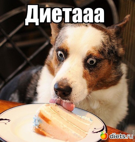 15 фото: обо всем по-маленьку