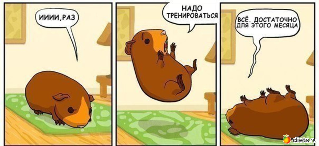 16 фото: обо всем по-маленьку