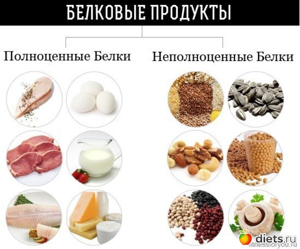 20 ����: ��� ���� ��-��������