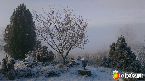 � ��� ���� ������ ����, ������: ���������