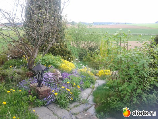 ...� �����, ������: ���������