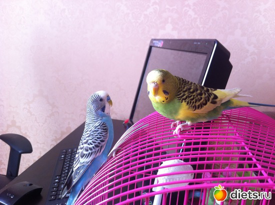 2 ����: �����