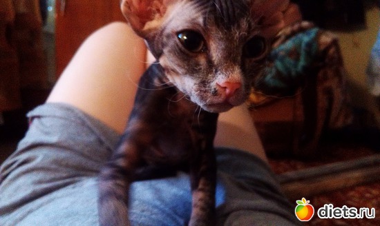 ����,����������� � ���� 10.10.2013, ������: �����