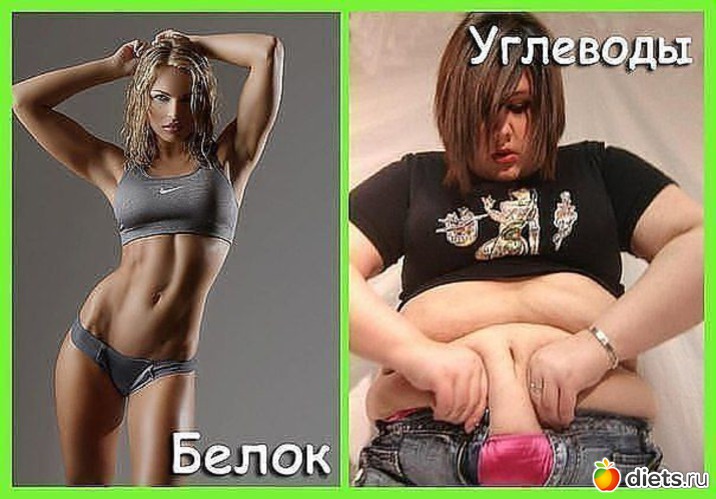 3 ����: ���������