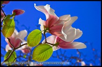 План на сентябрь 2013