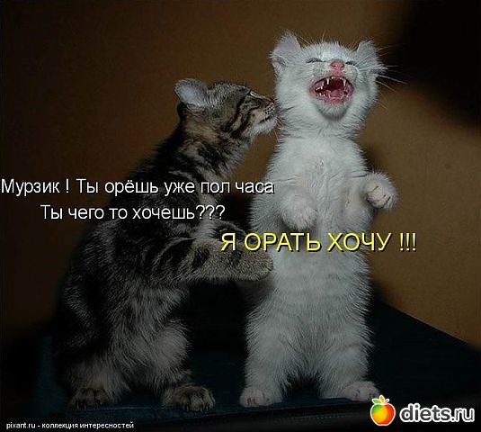 ��� ��� ����� �������