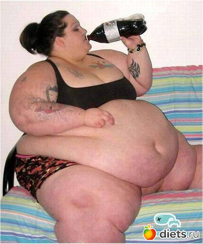 ������ ���������, ������: �������