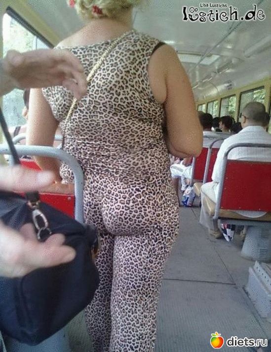 14 ����: �������