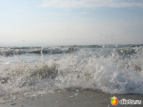 61 фото: Природа