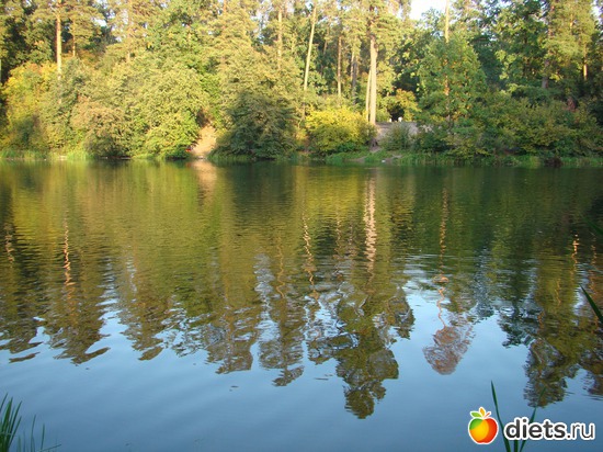 2 ����: ������� �������.