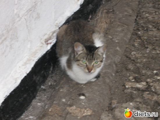 4 ����: ������� �������.