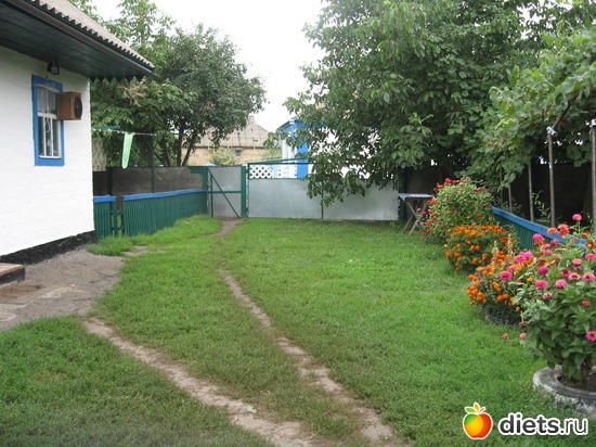 5 ����: ������� �������.