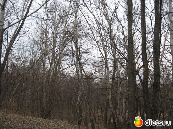 6 ����: ������� �������.