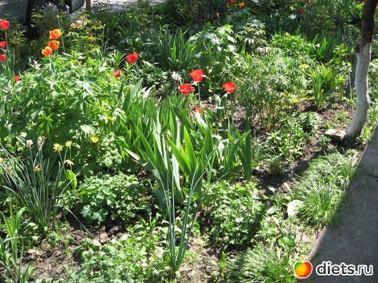 7 ����: ������� �������.