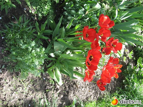 8 ����: ������� �������.