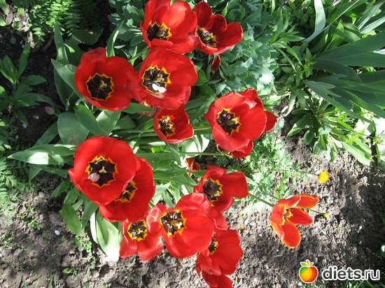 9 ����: ������� �������.