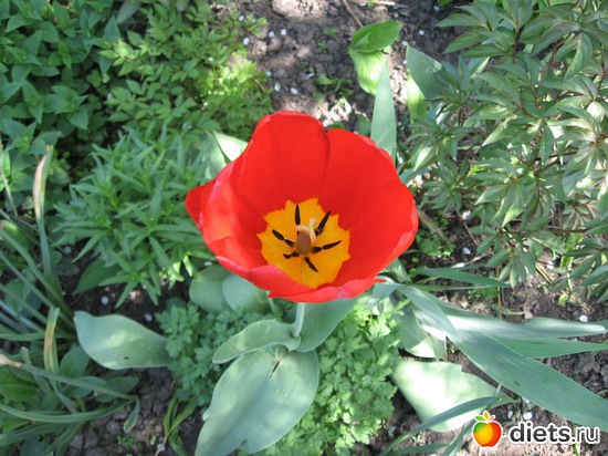 10 ����: ������� �������.