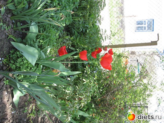 11 ����: ������� �������.