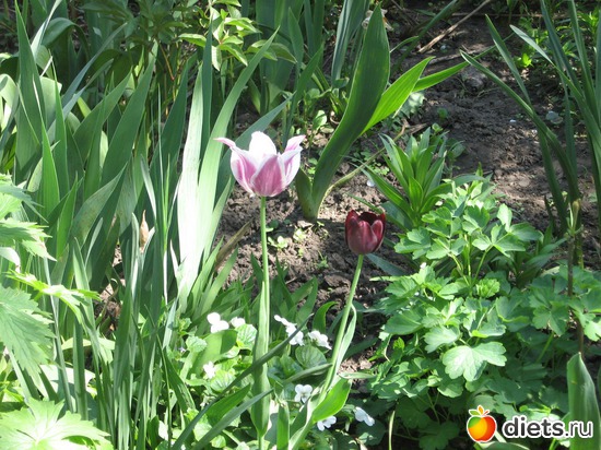 14 ����: ������� �������.