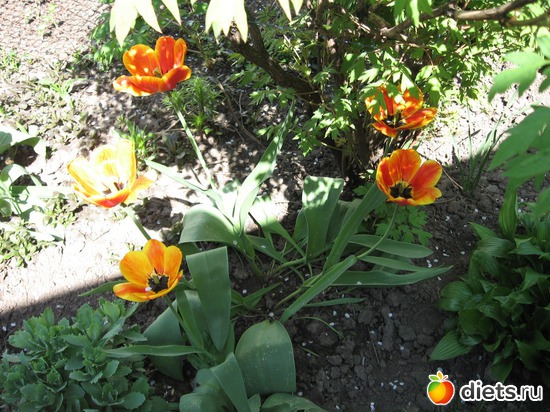 16 ����: ������� �������.