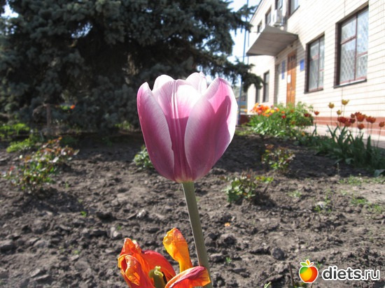 18 ����: ������� �������.