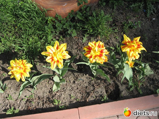 20 ����: ������� �������.