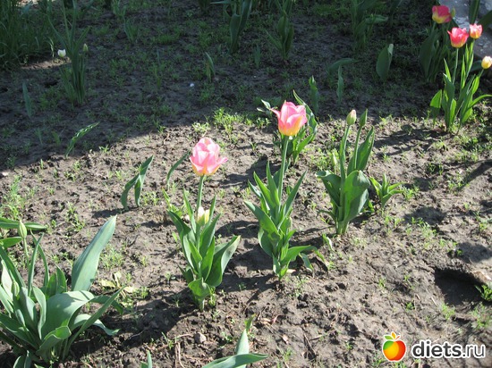 21 ����: ������� �������.