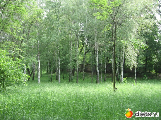 23 ����: ������� �������.