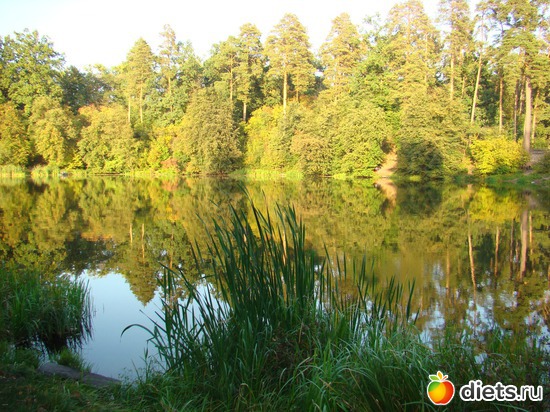 24 ����: ������� �������.