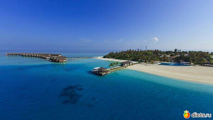 �������� �����������, ������: � ���� ���....)))