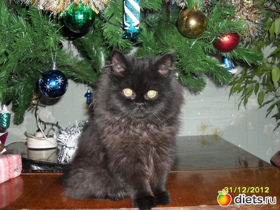 ������, ������: ��� �������� ��������