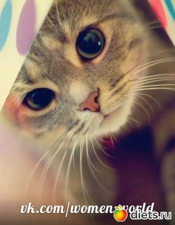 ������������ �������!))))))))))