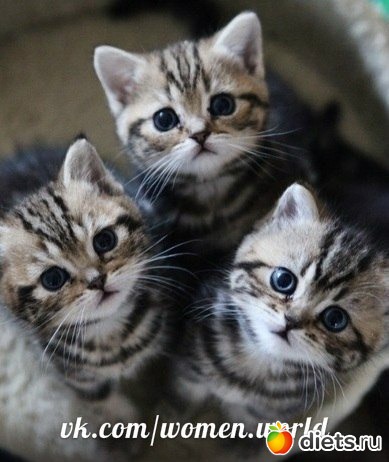 ������������ �������!))))))))))