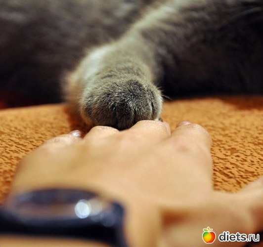 27 ����: ������������ �������!))))))))))