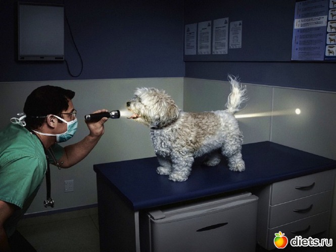 15 ����: ���� �� ������� ����