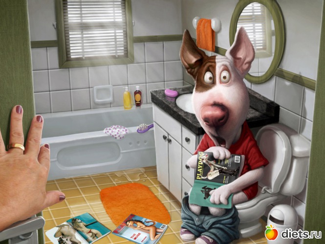 17 ����: ���� �� ������� ����