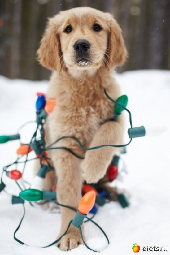 29 ����: ������������ �������!))))))))))