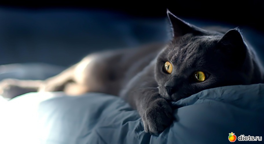 19 ����: ���� �� ������� ����