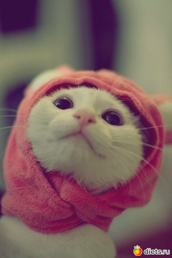 91 ����: ������������ �������!))))))))))