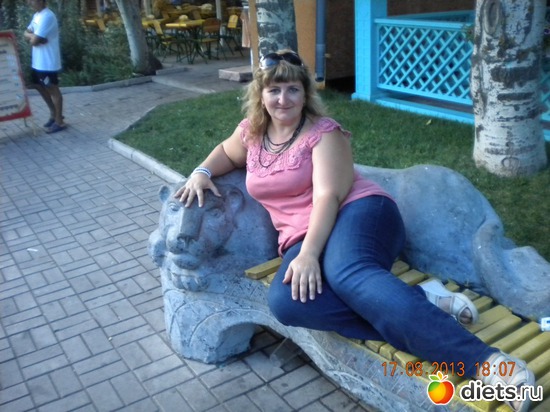 11 ����: ����.�������� 2013