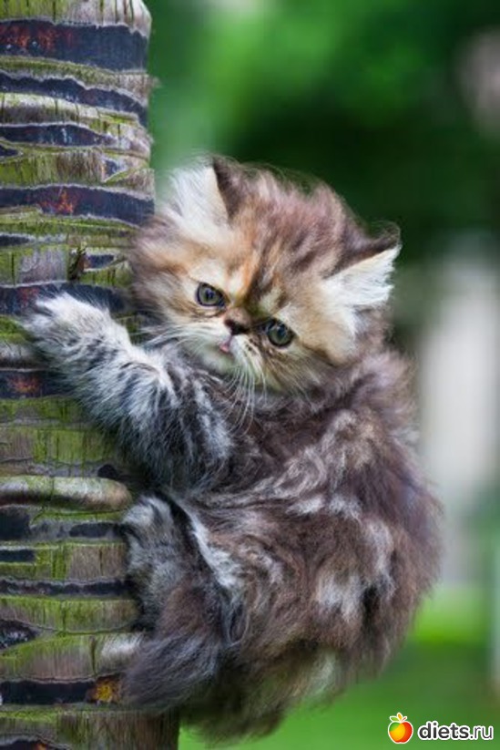 45 ����: ������������ �������!))))))))))