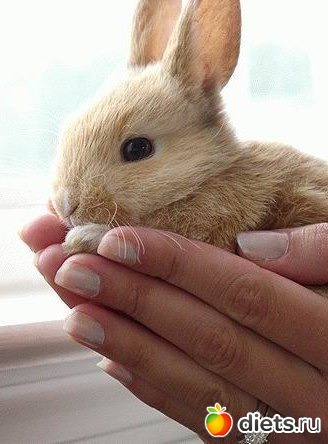 ������������ �������!))))))))))