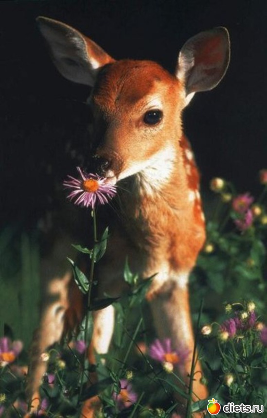 72 ����: ������������ �������!))))))))))