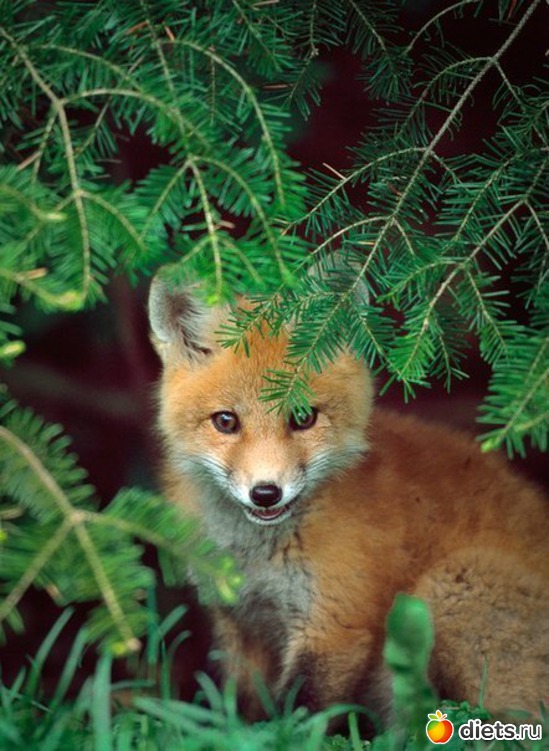 30 ����: ������������ �������!))))))))))