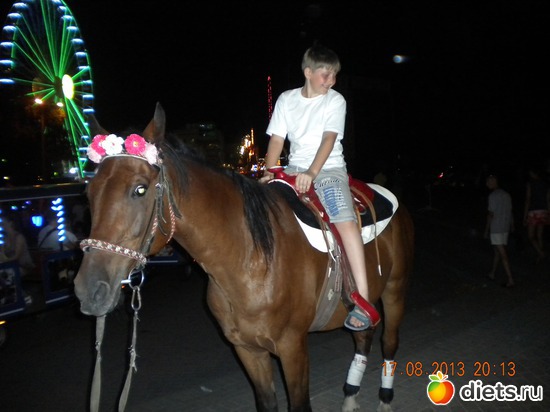 21 ����: ����.�������� 2013