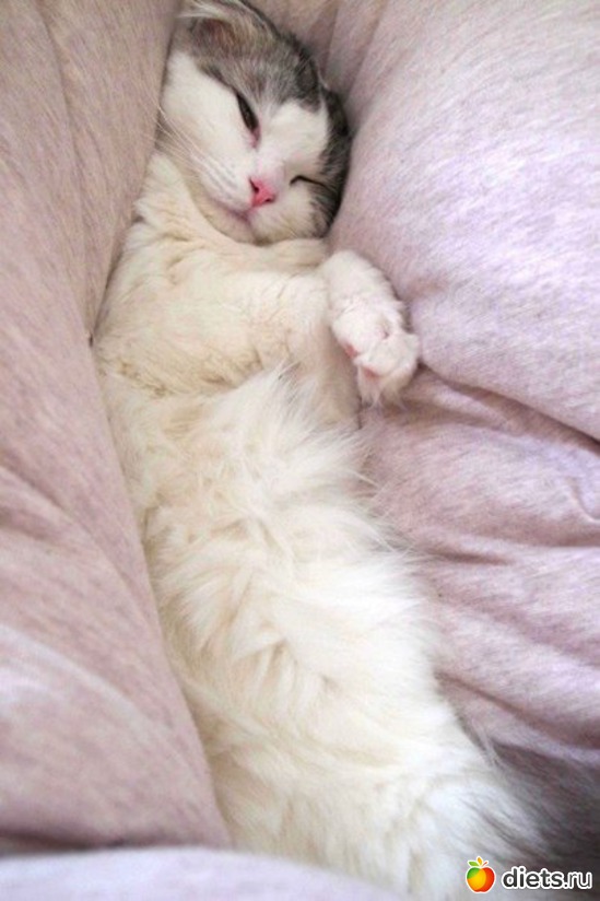 31 ����: ������������ �������!))))))))))