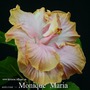 071 - Monique Maria