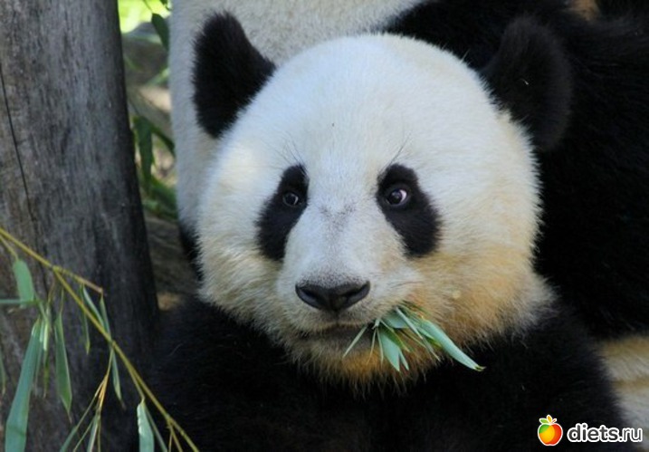 32 ����: ������������ �������!))))))))))