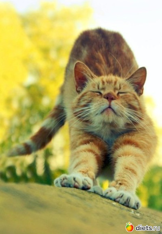 34 ����: ������������ �������!))))))))))